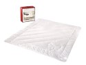 Kołdra 160x200 Imperial Dziki Jedwab bawełna 800g AMW Kołdra 160x200 Imperial Dziki Jedwab bawełna 800g AMW