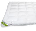 Kołdra antyalergiczna 200x220 Bamboo całoroczna 1550g biała z włókien pozyskiwanych z drewna bambusowego Inter Widex Kołdra antyalergiczna 200x220 Bamboo całoroczna 1550g biała z włókien pozyskiwanych z drewna bambusowego Inter Widex