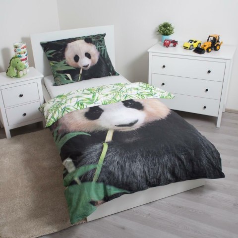Pościel bawełniana 140x200 Miś Panda pandy liście 6435 poszewka 70x90 bear Pościel bawełniana 140x200 Miś Panda pandy liście 6435 poszewka 70x90 bear