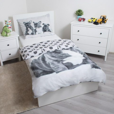 Pościel bawełniana 140x200 Pies Buldog francuski biała szara grochy 7203 poszewka 70x90 Pościel bawełniana 140x200 Pies Buldog francuski biała szara grochy 7203 poszewka 70x90