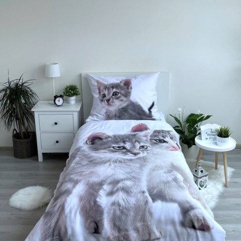 Pościel bawełniana 140x200 Kotki kotek kot szary 6572 poszewka 70x90 Pościel bawełniana 140x200 Kotki kotek kot szary 6572 poszewka 70x90