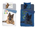 Pościel świecąca w ciemności 160x200 3366 A Pies Owczarek Niemiecki psy super dog biała niebieska bawełniana Detexpol Pościel świecąca w ciemności 160x200 3366 A Pies Owczarek Niemiecki psy super dog biała niebieska bawełniana Detexpol