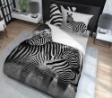 Pościel bawełniana 220x200 3817 A Zebry czarna biała młodzieżowa Zebra Holland Natura 2 Pościel bawełniana 220x200 3817 A Zebry czarna biała młodzieżowa Zebra Holland Natura 2