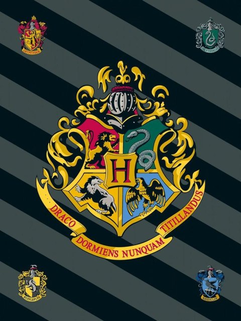 Kocyk polarowy 100x150 Harry Potter 0226 pled dziecięcy Kocyk polarowy 100x150 Harry Potter 0226 pled dziecięcy