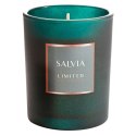 Świeca zapachowa Salvia o zapachu drzewno ziołowo morskim w szkle ozdobnym 200g LIMITED COLLECTION Eurofirany Świeca zapachowa Salvia o zapachu drzewno ziołowo morskim w szkle ozdobnym 200g LIMITED COLLECTION Eurofirany