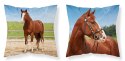 Poszewka dziecięca 40x40 koń MF 03 Kids 114 Poszewka dziecięca 40x40 koń MF 03 Kids 114