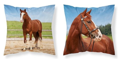 Poszewka dziecięca 40x40 koń MF 03 Kids 114 Poszewka dziecięca 40x40 koń MF 03 Kids 114
