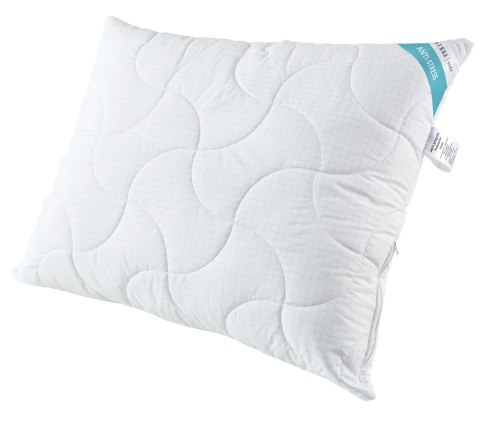 Poduszka antyalergiczna 40x40 Antystres pikowana 250 g biała z włóknem węglowym z zamkiem Inter Widex Poduszka antyalergiczna 40x40 Antystres pikowana 250 g biała z włóknem węglowym z zamkiem Inter Widex