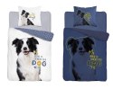 Pościel świecąca w ciemności 140x200 pies border collie 4088 A biała bawełniana Fluo 127 Pościel świecąca w ciemności 140x200 pies border collie 4088 A biała bawełniana Fluo 127