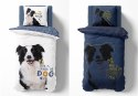 Pościel świecąca w ciemności 160x200 pies border collie 4088 A biała bawełniana Fluo 127 Pościel świecąca w ciemności 160x200 pies border collie 4088 A biała bawełniana Fluo 127