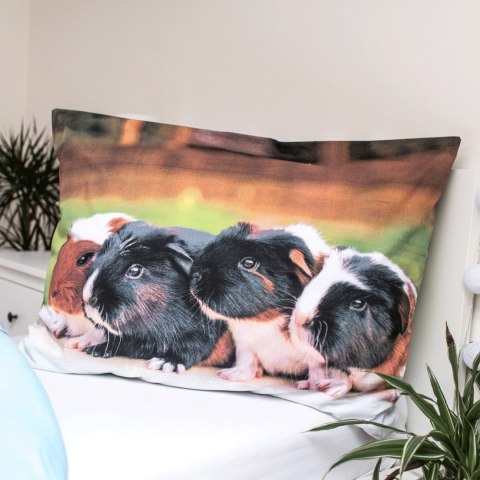 Pościel bawełniana 140x200 Świnka morska poszewka 70x90 Pościel bawełniana 140x200 Świnka morska poszewka 70x90
