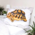 Pościel bawełniana 140x200 Żółw Turtle biała beżowa poszewka 70x90 Pościel bawełniana 140x200 Żółw Turtle biała beżowa poszewka 70x90