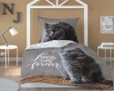 Pościel bawełniana 140x200 kotek szary 3863 A poszewka 70x80 panelowa 92 Pościel bawełniana 140x200 kotek szary 3863 A poszewka 70x80 panelowa 92