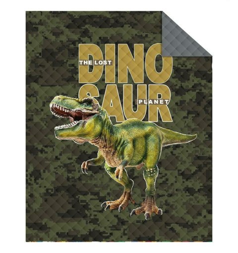 Narzuta młodzieżowa 170x210 dinozaur K 86 Bedspread 05 Narzuta młodzieżowa 170x210 dinozaur K 86 Bedspread 05