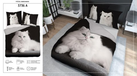 Pościel bawełniana 220x200 kot 3736 A 2 poszewki 70x80 Holland Natura 69 Pościel bawełniana 220x200 kot 3736 A 2 poszewki 70x80 Holland Natura 69