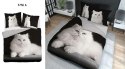 Pościel bawełniana 220x200 kot 3736 A 2 poszewki 70x80 Holland Natura 69 Pościel bawełniana 220x200 kot 3736 A 2 poszewki 70x80 Holland Natura 69