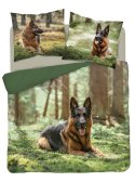 Pościel bawełniana 220x200 owczarek 3729 A 2 poszewki 70x80 Holland Natura 69 Pościel bawełniana 220x200 owczarek 3729 A 2 poszewki 70x80 Holland Natura 69