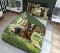 Pościel bawełniana 220x200 owczarek 3729 A 2 poszewki 70x80 Holland Natura 69 Pościel bawełniana 220x200 owczarek 3729 A 2 poszewki 70x80 Holland Natura 69