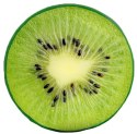 Poduszka okrągła Illusione 40x7 kiwi zielona siedzisko na krzesło welurowa Domarex Poduszka okrągła Illusione 40x7 kiwi zielona siedzisko na krzesło welurowa Domarex