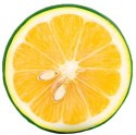 Poduszka okrągła Illusione 40x7 lemon żółta siedzisko na krzesło welurowa Domarex Poduszka okrągła Illusione 40x7 lemon żółta siedzisko na krzesło welurowa Domarex