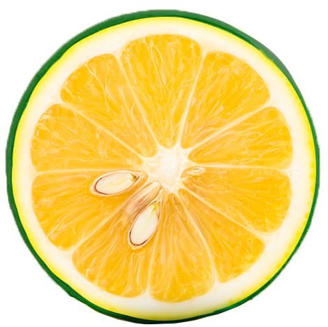 Poduszka okrągła Illusione 40x7 lemon żółta siedzisko na krzesło welurowa Domarex Poduszka okrągła Illusione 40x7 lemon żółta siedzisko na krzesło welurowa Domarex