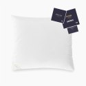 Poduszka puchowa 90% 70x80 Dream 3-komorowa 1000g + 160g biała AMZ Poduszka puchowa 90% 70x80 Dream 3-komorowa 1000g + 160g biała AMZ