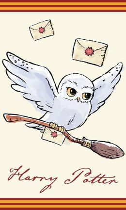 Ręczniczek do przedszkola 30x50 Harry Potter dziecięcy Babies