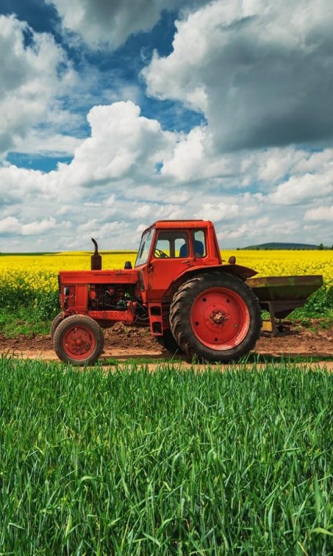 Ręczniczek do przedszkola 30x50 Traktor traktor dziecięcy Babies Ręczniczek do przedszkola 30x50 Traktor traktor dziecięcy Babies