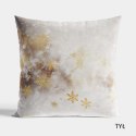 FROSTI Poszewka dekoracyjna VELVET, 40x40cm, kolor 001 beżowy (do wyczerpania zapasu) PBN161/POP/001/040040/1 FROSTI Poszewka dekoracyjna VELVET, 40x40cm, kolor 001 beżowy (do wyczerpania zapasu) PBN161/POP/001/040040/1