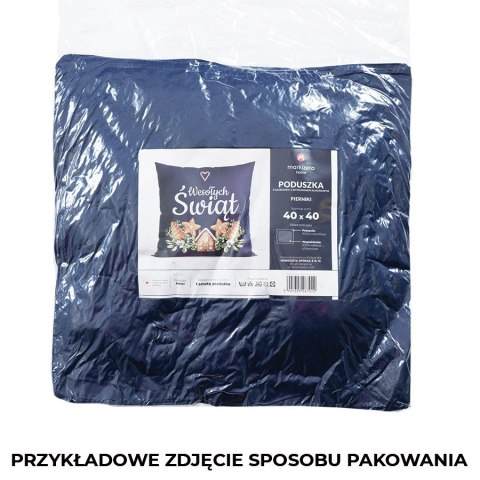 Poduszka świąteczna dwustronna z mikrofibry 40x40 Pierniki zielona z wypełnieniem silikonu TBN016/SIL/003/040040/1 Poduszka świąteczna dwustronna z mikrofibry 40x40 Pierniki zielona z wypełnieniem silikonu TBN016/SIL/003/040040/1