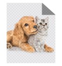 Narzuta młodzieżowa 170x210 kotek i piesek przytulaski K 100 Bedspread 13 Narzuta młodzieżowa 170x210 kotek i piesek przytulaski K 100 Bedspread 13