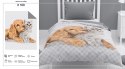 Narzuta młodzieżowa 170x210 kotek i piesek przytulaski K 100 Bedspread 13 Narzuta młodzieżowa 170x210 kotek i piesek przytulaski K 100 Bedspread 13
