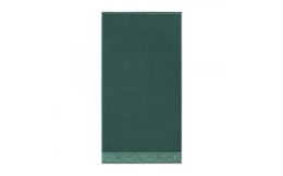 Ręcznik Ravenna 30x50 bukszpan zielony 450 g/m2 5629 Zwoltex