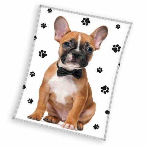 Koc z mikrofibry 130x170 Pies buldog łapki biały beżowy 4142 C23 Koc z mikrofibry 130x170 Pies buldog łapki biały beżowy 4142 C23