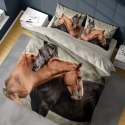 Pościel bawełniana 220x200 Konie 4711 A Holland 35 Pościel bawełniana 220x200 Konie 4711 A Holland 35