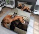 Pościel bawełniana 220x200 Konie 4711 A Holland 35 Pościel bawełniana 220x200 Konie 4711 A Holland 35