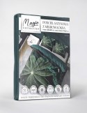 Pościel z mikrofibry 3D 160x200 Liście czarna zielona 4372 A mikro 28 Pościel z mikrofibry 3D 160x200 Liście czarna zielona 4372 A mikro 28