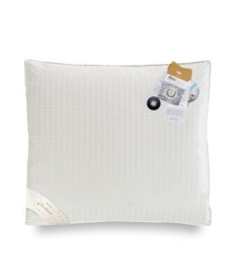 Poduszka puchowa 90% 70x80 Silver 3-komorowa 1000g + 160g kremowa AMZ