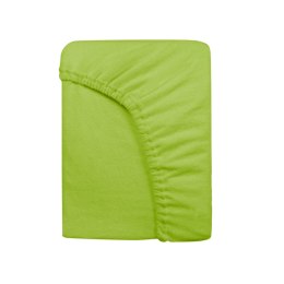 Prześcieradło frotte z gumką 220x200 014 zielone Darymex