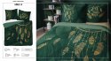 Pościel bawełniana 160x200 zielona złota łapacz snów pióra 4862 A Holland Home 73 Pościel bawełniana 160x200 zielona złota łapacz snów pióra 4862 A Holland Home 73