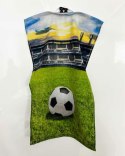 Ręczniczek do przedszkola 30x50 Piłka zielony niebieski dziecięcy bawełniany 23T Ręczniczek do przedszkola 30x50 Piłka zielony niebieski dziecięcy bawełniany 23T