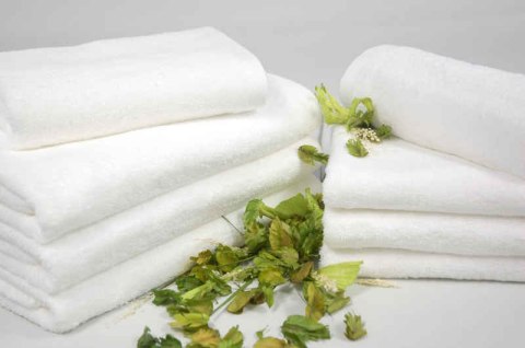 Ręcznik Lemon 70x140 ekri hotelowy frotte 500g/m2 Faro Ręcznik Lemon 70x140 ekri hotelowy frotte 500g/m2 Faro