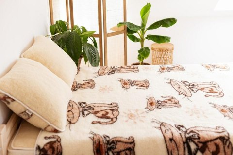Komplet wełniany merynos - kołdra 220x200 - 2 poduszki 50x60 - prześcieradło wełniane 220x200 - Kotki beżowy brązowy Wyroby reha Komplet wełniany merynos - kołdra 220x200 - 2 poduszki 50x60 - prześcieradło wełniane 220x200 - Kotki beżowy brązowy Wyroby reha