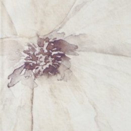 Obrus serweta 30x40 Velvet 6 podkładka kremowy beżowy kwiaty welurowy komplet 4 szt Eurofirany