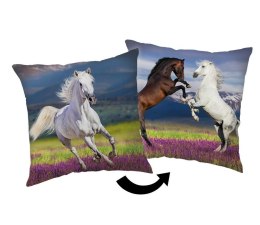 Poduszka dekoracyjna 40x40 Koń Konie Horse 02 JF24