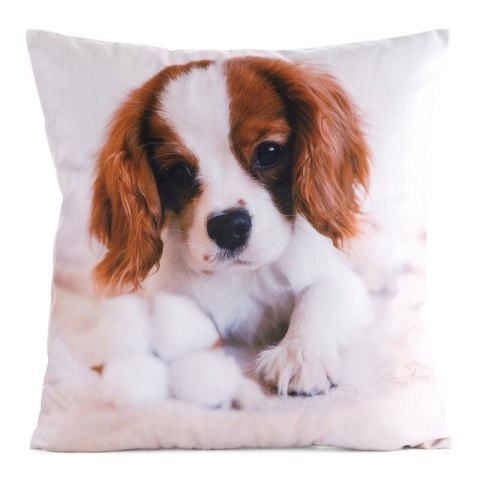 Poszewka dekoracyjna 45x45 Animal 72 Piesek Eurofirany Poszewka dekoracyjna 45x45 Animal 72 Piesek Eurofirany