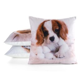 Poszewka dekoracyjna 45x45 Animal 72 Piesek Eurofirany