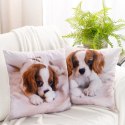 Poszewka dekoracyjna 45x45 Animal 72 Piesek Eurofirany Poszewka dekoracyjna 45x45 Animal 72 Piesek Eurofirany