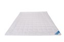 Kołdra antyalergiczna 200x220 Body Nice letnia 550g biała Piórex Kołdra antyalergiczna 200x220 Body Nice letnia 550g biała Piórex