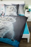Pościel bawełniana 140x200 Kotek kot szary niebieski kocyk 8217 Faro poszewka 70x90 Pościel bawełniana 140x200 Kotek kot szary niebieski kocyk 8217 Faro poszewka 70x90